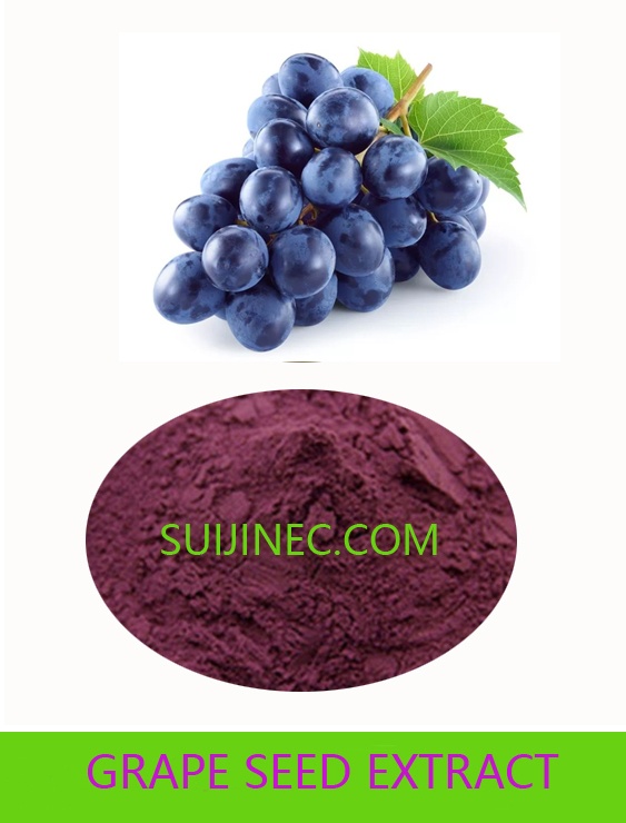 GRAPE SEED EXTRACT