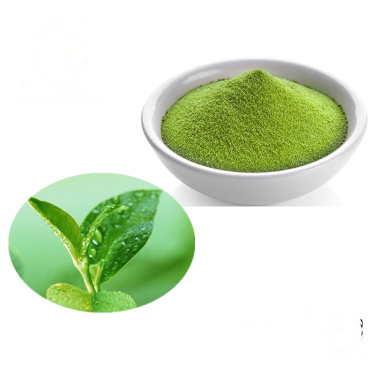 GREEN TEA EXTRACT,GREEN TEA EXTRACT POWDER