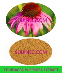 ECHINACEA PURPUREA EXTRACT