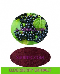 ELDERBERRY EXTRACT