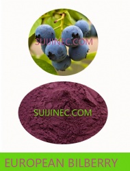 EUROPEAN BILBERRY EXTRACT