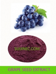 GRAPE SEED EXTRACT